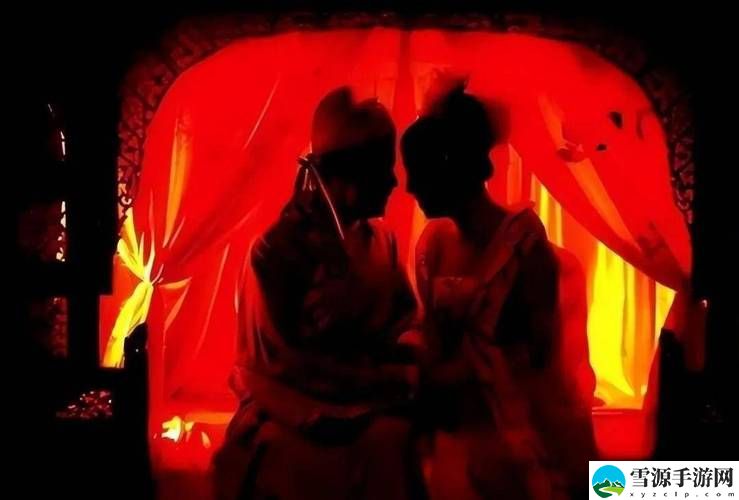 古代洞房2国语版免费观看：这样的视频能否带给我们真实的古代婚俗体验？