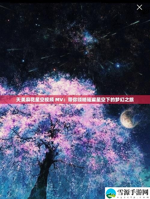 你是否听过“天美麻花星空高清MV播放音乐”？它带给我们的音乐体验究竟有多独特？