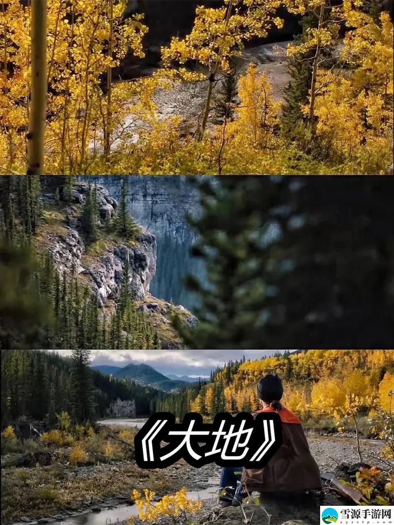 为何选择“大地在线影视免费观看”成为众多观众追剧的首选？