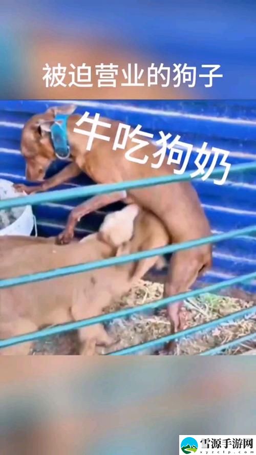 公天天吃我奶躁我稳居榜首，网友：这是什么神仙操作？