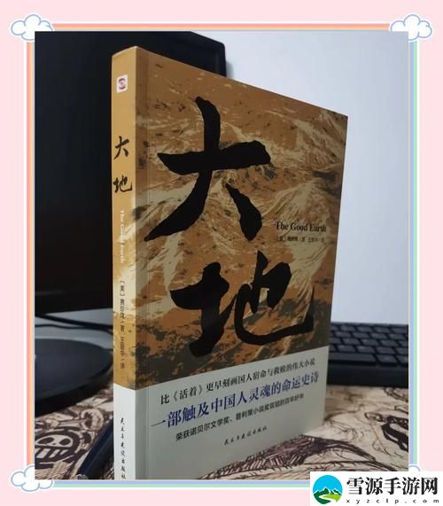 大地中文第二页免费看上线，网友：这真是个惊喜！