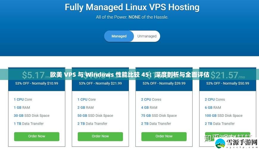 在使用网站和应用时，如何判断“欧美vps与windows性能比较45”对你的选择有何影响？