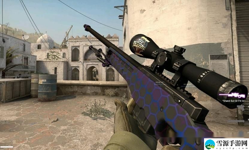如何看待日本CSGO大姐姐AWP在游戏社群中的独特魅力与影响力？