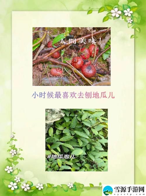 野草视频在线观看污版：究竟隐藏了多少不为人知的精彩内容？