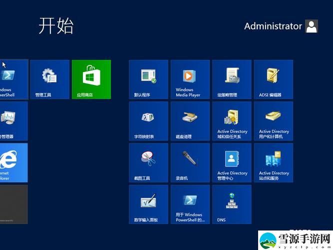 在日本windowsserver环境下，企业如何保障数据安全与高效运营？