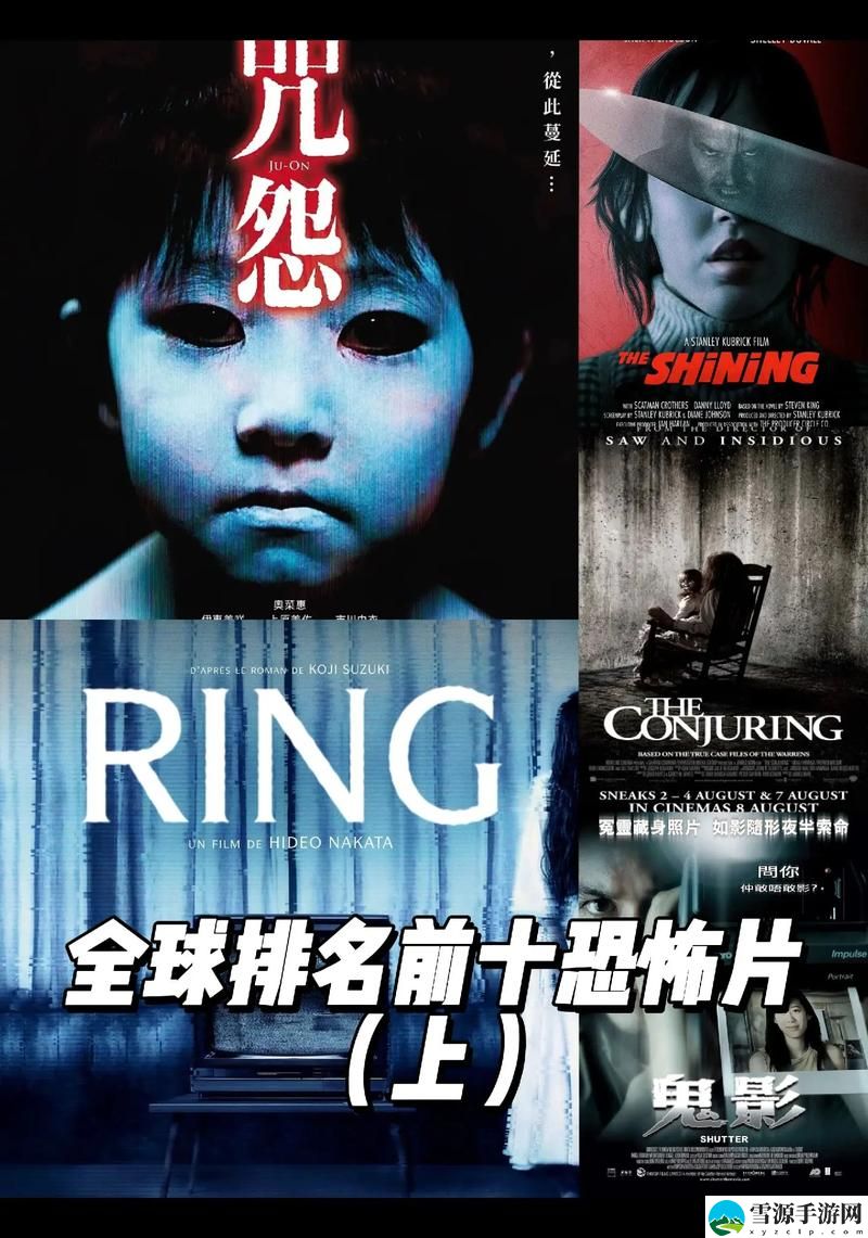  成年人必看大片络惊悚片全集，你准备好面对这些惊悚故事了吗？