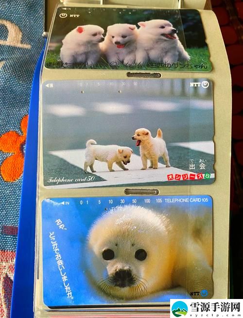 在“日本卡一卡二卡三爱区”的背后，隐藏着怎样的情感与故事？