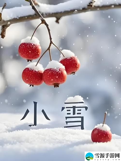  小雪又胀又麻又酸又痒上线，网友：这都是什么神奇体验？