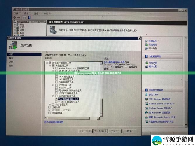 怎样选择适合企业需求的日本Windows Server版本？
