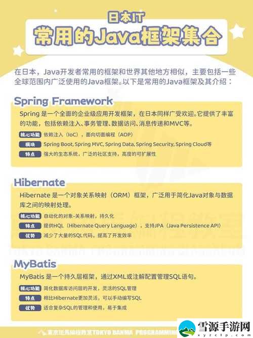  TITLE：为何“JAVAPARSER乱偷”成为网络争议的焦点？