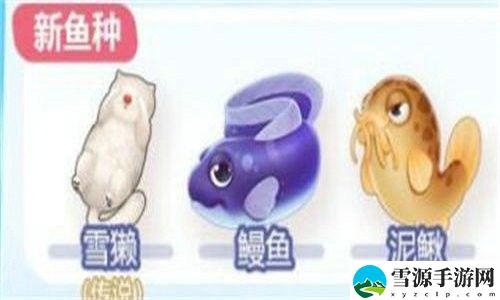 摩尔庄园鳗鱼怎么钓 摩尔庄园鳗鱼在哪里钓
