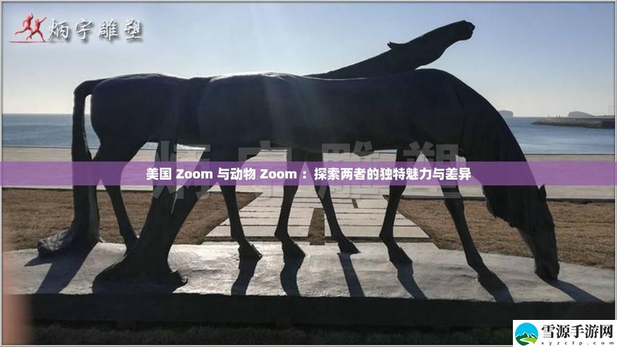 Zoom与动物Zoom，用户热议：人与动物在线互动的新体验