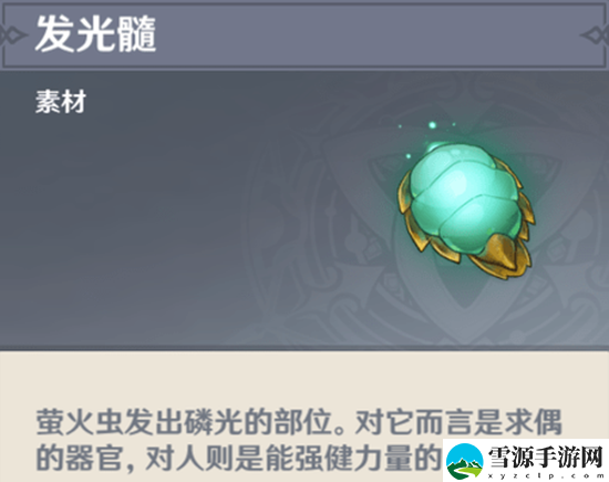 原神萤火虫在哪抓 原神萤火虫抓捕位置一览