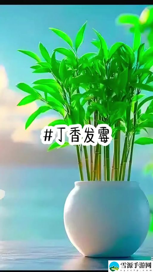 亭亭玉月丁香最新动态，用户热议：那些被遗忘的美好