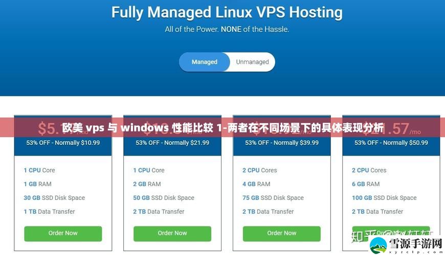 在性能方面，欧美VPS和Windows的比较中，究竟哪个更胜一筹？