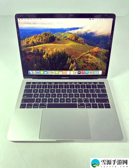  18岁MACBOOKPRO45岁更新了，平台：科技与艺术的交汇