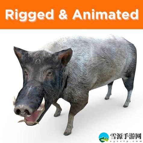 ZOOM与动物ZOOM大全美国