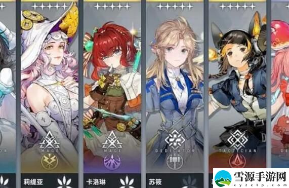 白荆回廊五星角色强度排行榜