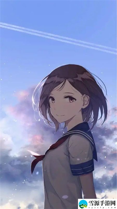 日本Windows Server：探索其在企业中的应用与优势
