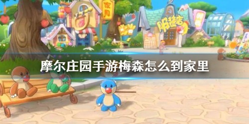 摩尔庄园梅森怎么来家里 摩尔庄园让梅森来家里方法