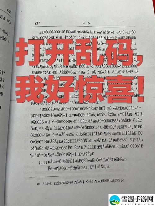 乱码一二三入区口