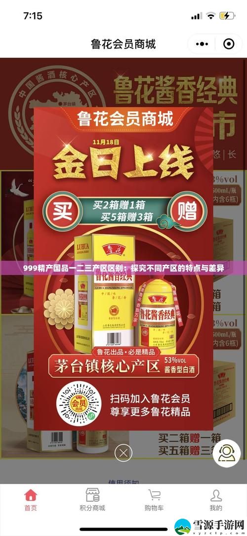 在“精产国品一产区”的背景下，如何推动地方经济与传统工艺的融合发展？