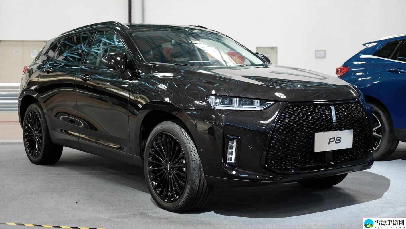  WEY VV8国产的SUV，粉丝：期待未来的出色 performance！