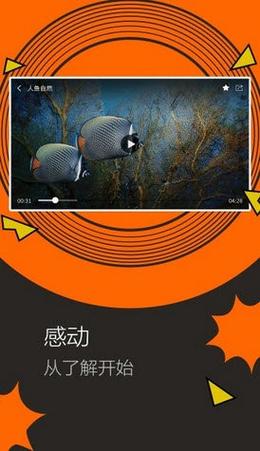 鱿鱼B25777直接进入，网友分享：探索海洋的无限魅力