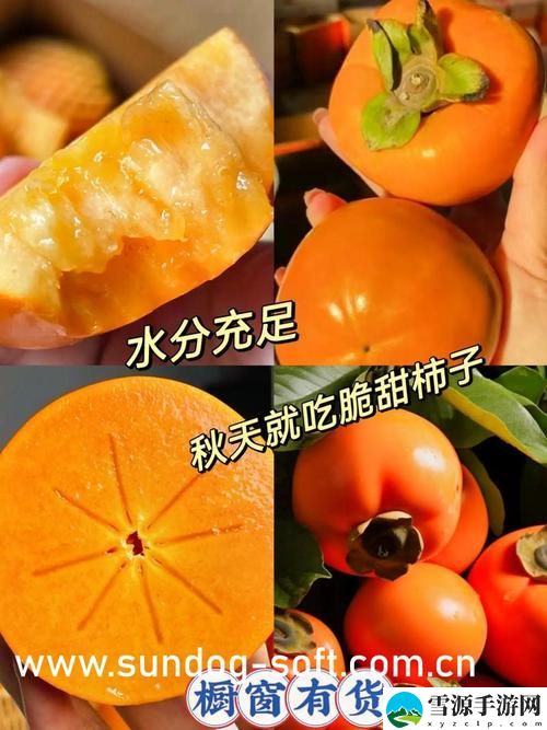  在数据安全的漩涡中，“JAVAPARSER乱偷”究竟给我们带来了怎样的隐患？