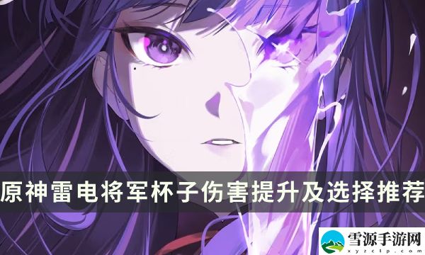 原神雷电将军杯子伤害提升及选择推荐