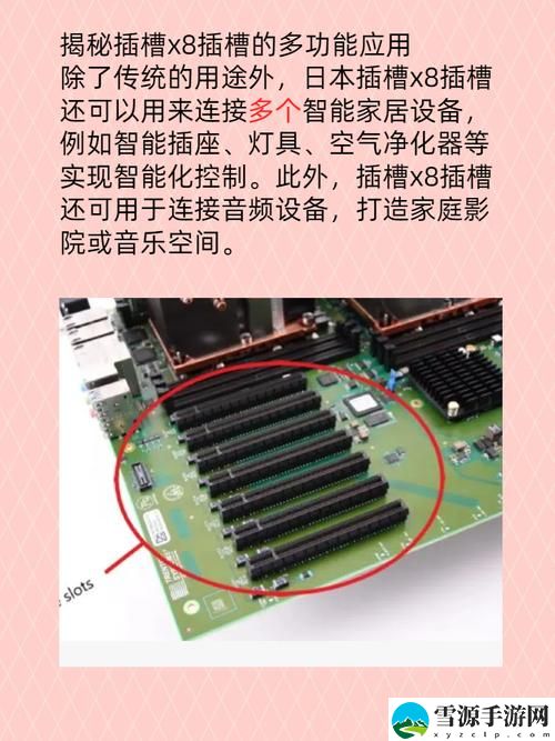 日本插槽X8是正规还是仿：揭示真相与市场困惑