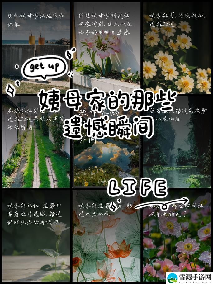 在姨母家的客厅中字：这个小天地里藏着哪些未解的秘密？