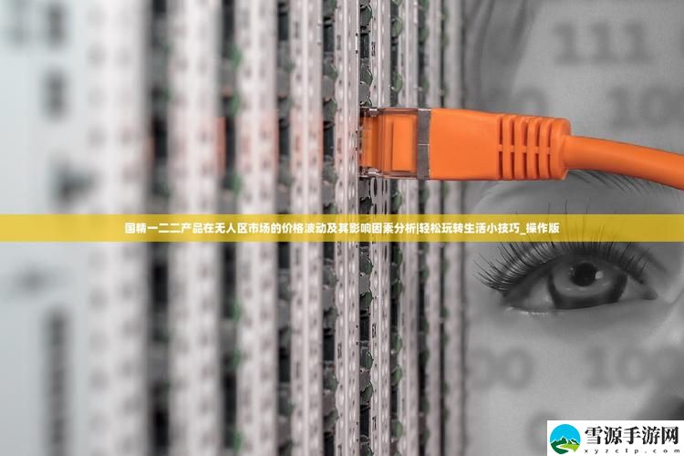 国精一二二产品无人区价格上线，网友热议：