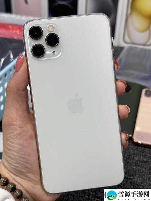 日本iPhone Pro Max，观众：技术与设计的完美结合