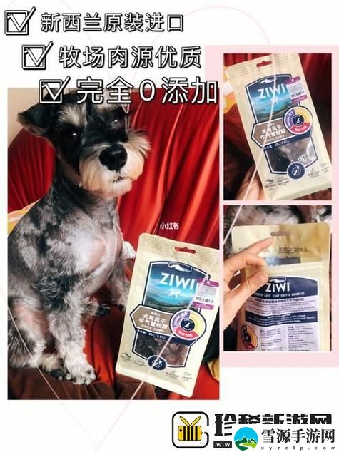美国人与动物胶配方有几种？探索不同种类及其应用的奥秘