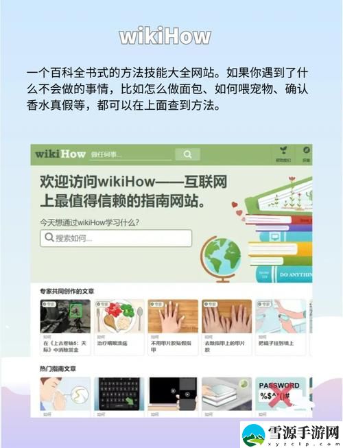 永久免费不收费的软件网站，网友表示：使用体验超乎想象！
