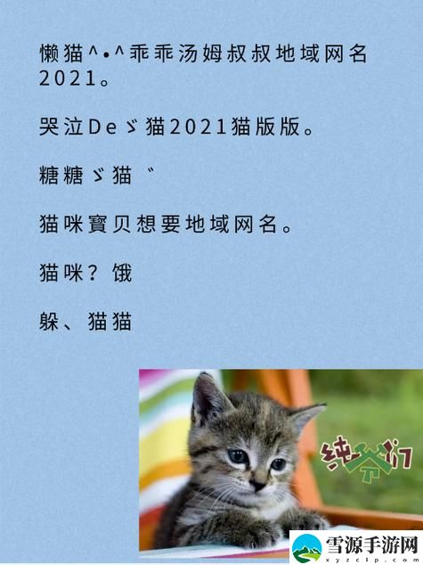 探索奇妙的网络文化：成人猫咪最新地域网名是什么啥？