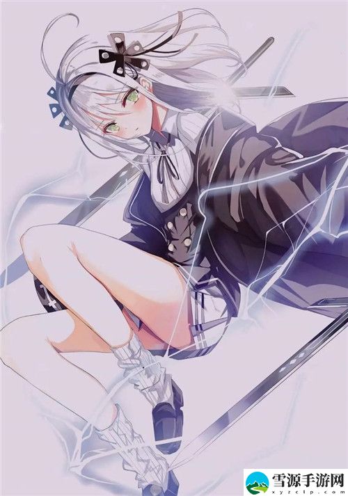  400多个成品视频：探索多样化创作的无限可能