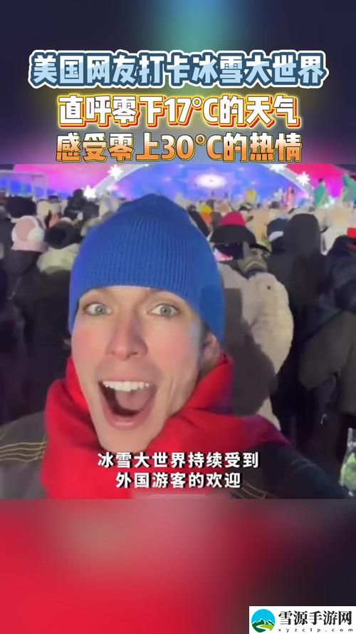 您是否了解“17.c.nom网站”的独特优势与使用体验？