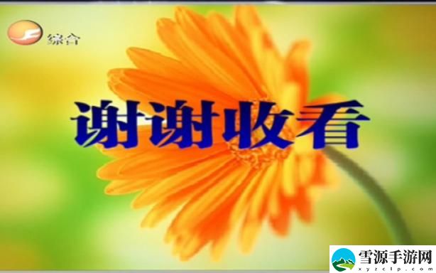 免费网站你会回来感谢我的：发现值得信赖的资源