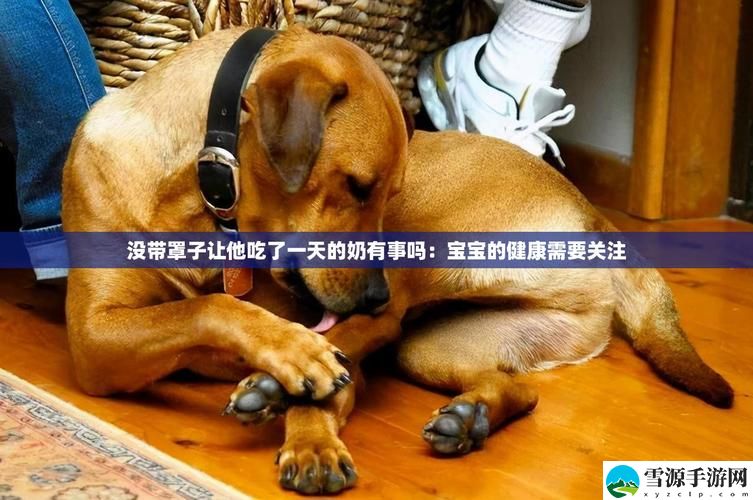 没带罩子让他吃了一天，究竟是生活的不幸还是一场意外的美食冒险？