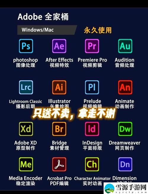 如何利用“9.1靠比较大全全部”来提升你的决策能力？