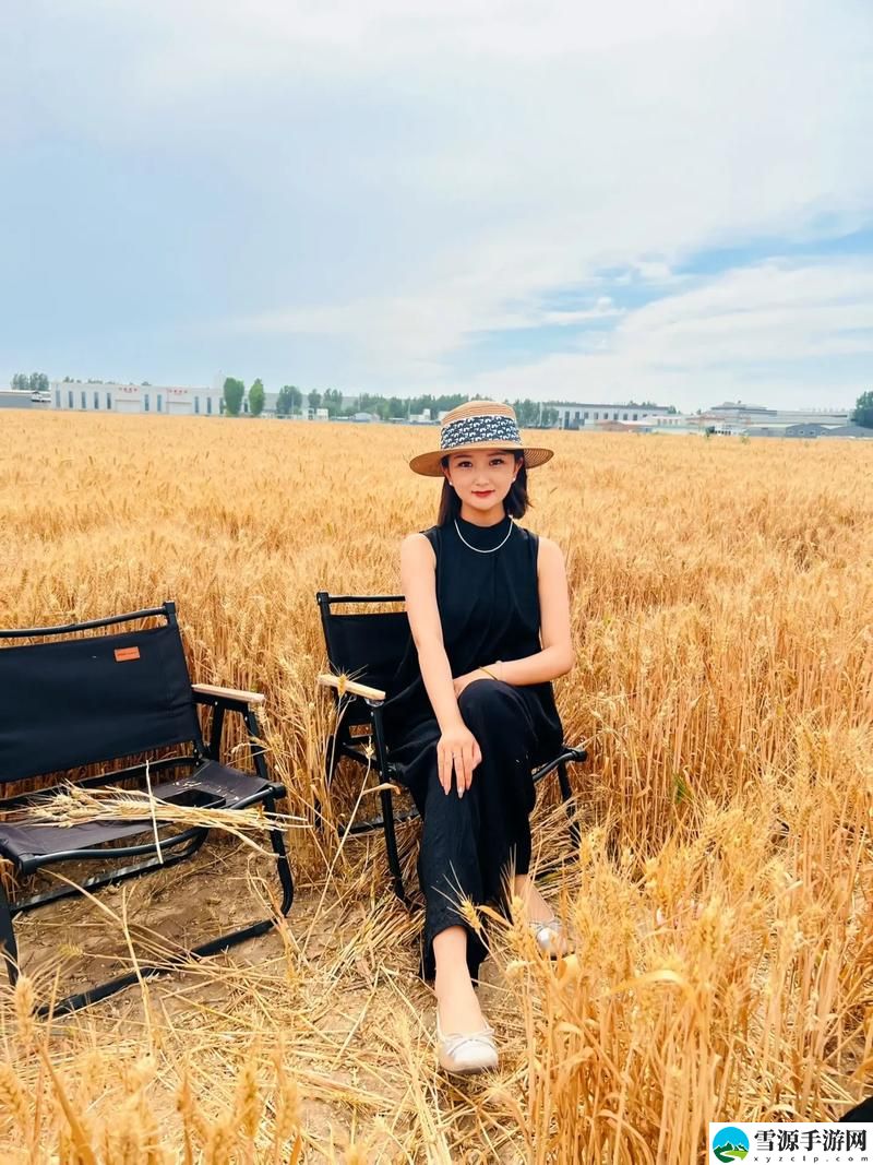  在“偿还债务的麦子3HD”中，玩家如何面对艰难的抉择与挑战？