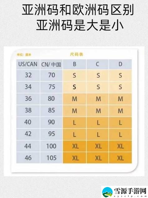 亚洲无人区码一码二码三码的区别，网友感叹：了解这些知识，让我大开眼界！