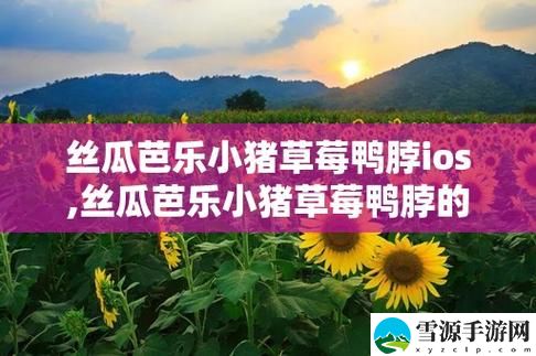  如何在“丝瓜芭乐小猪草莓鸭脖ios”中寻找创意灵感？ 