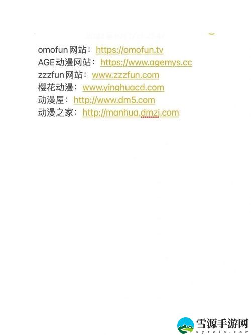  成品动漫网站入口网页版怎样打开？详细步骤与注意事项解析