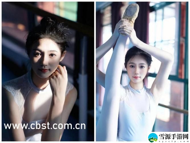 星空传媒天美传媒有限公司揭秘，网友：这就是梦开始的地方