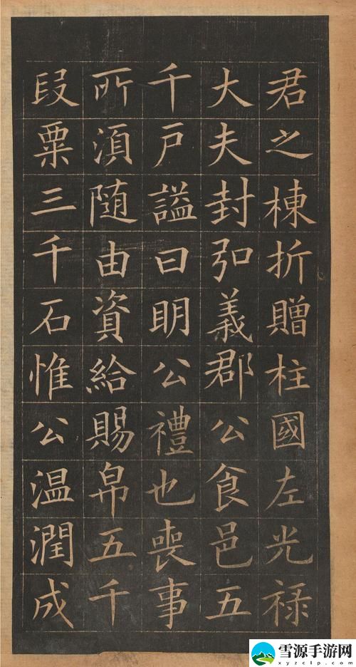 37大胆欧体人文艺术-任汾，用户评论：