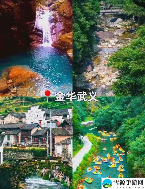 伊春园2023入口直达大象