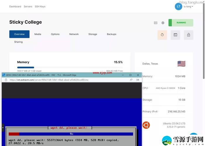 为什么选择“欧美VPSWINDOWS极品”会成为您的最佳选择？